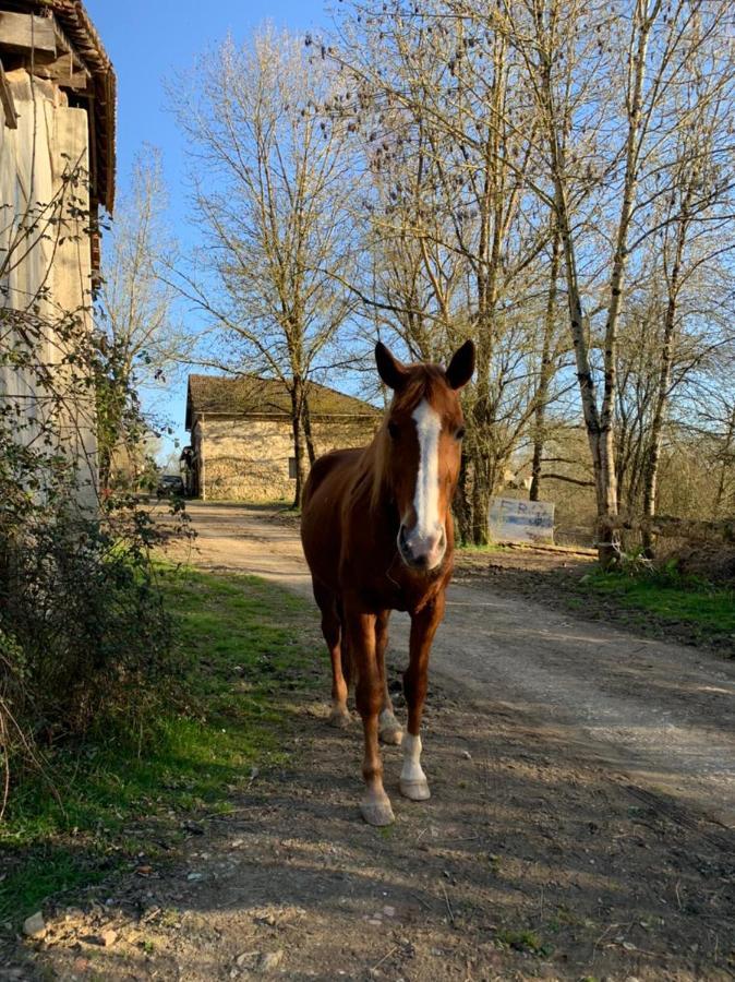 Le Prosper Bed & Breakfast Marciac Bagian luar foto